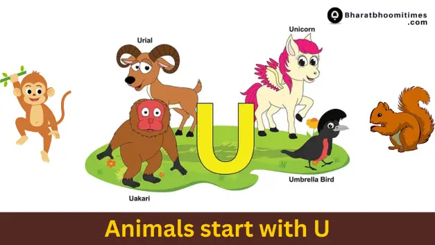 Animals That Start With U