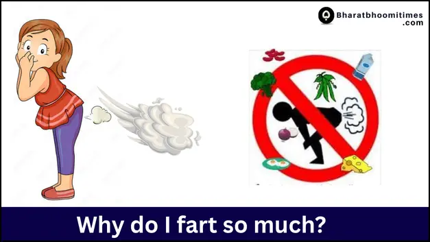 Why do I fart so much