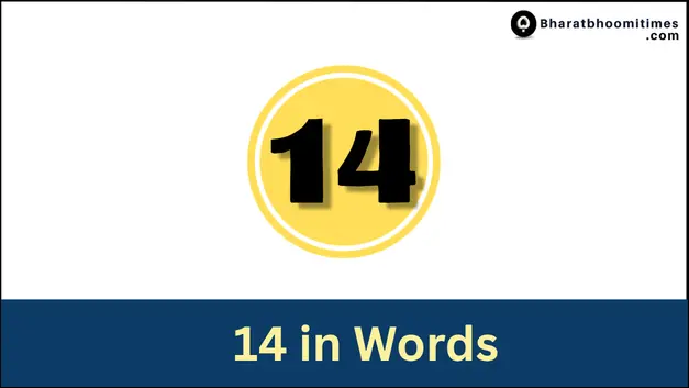 14 in Words
